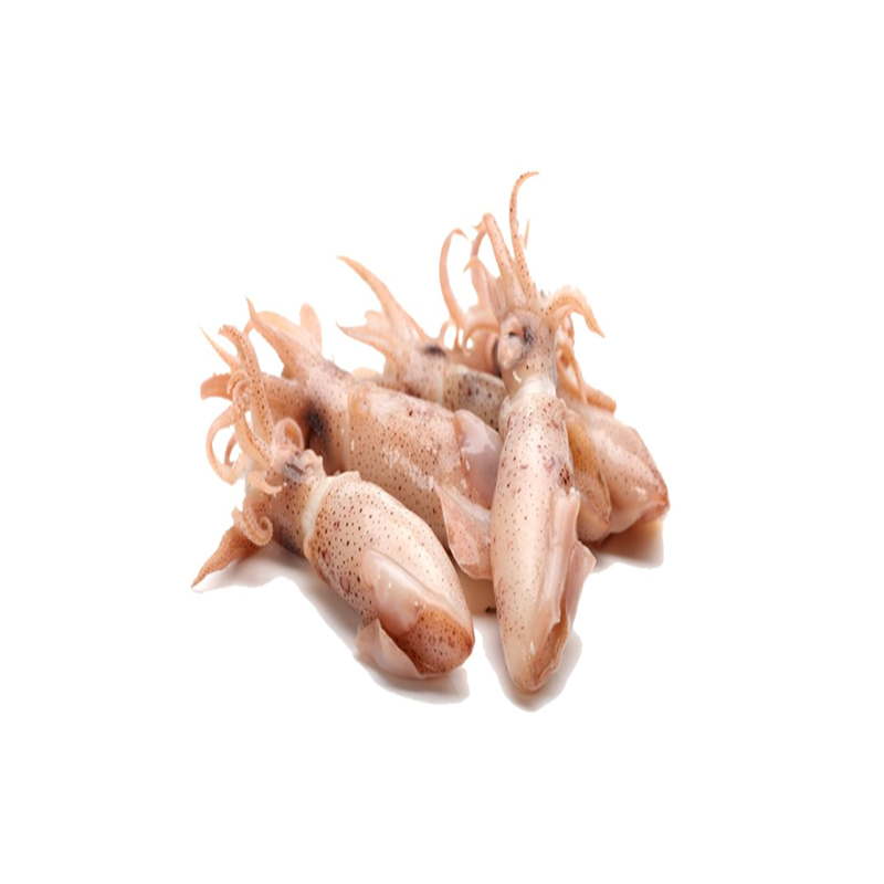 Calamar Puntilla