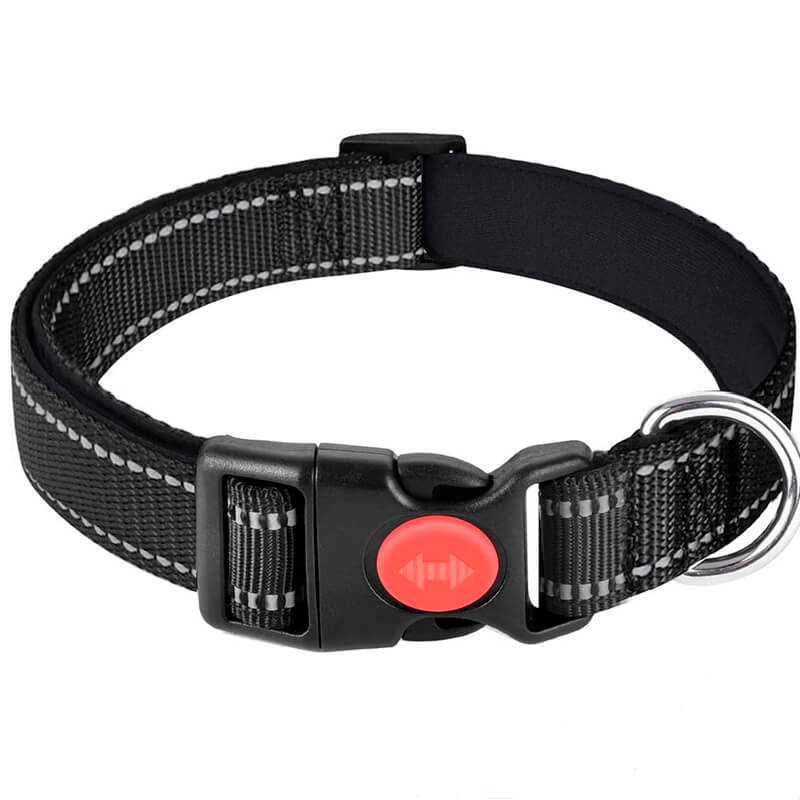 Collar para Mascotas con Seguro L/XL