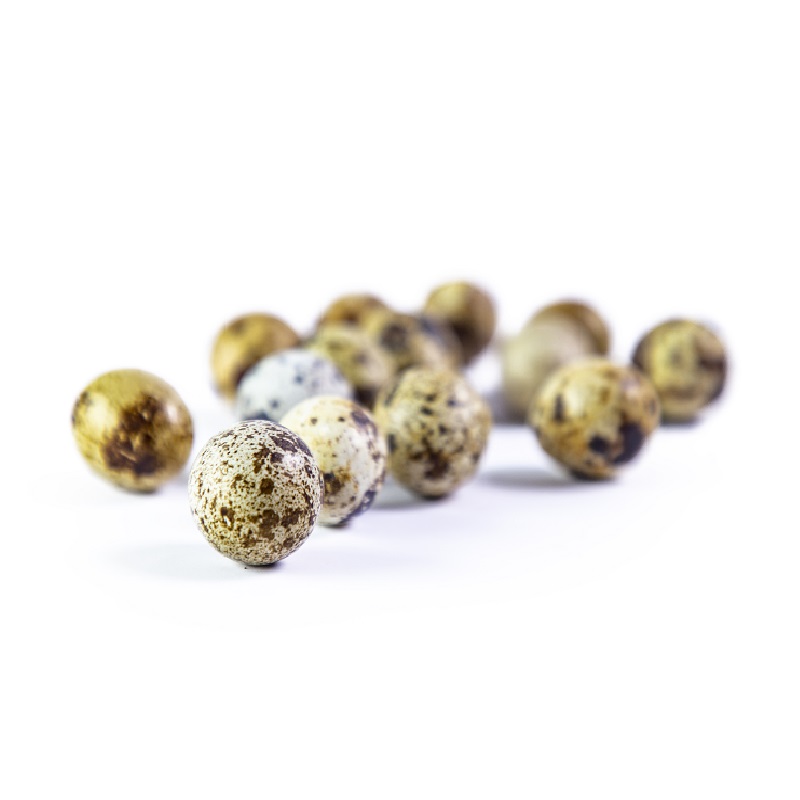 Huevos Codorniz