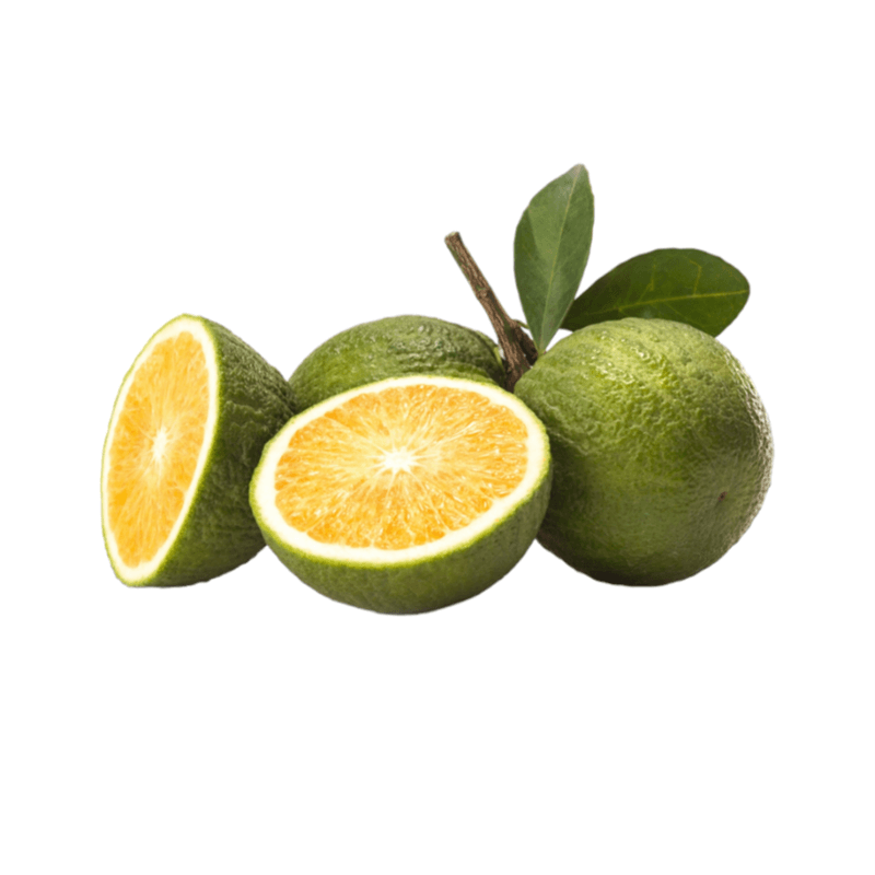 Naranja Agria Selecta