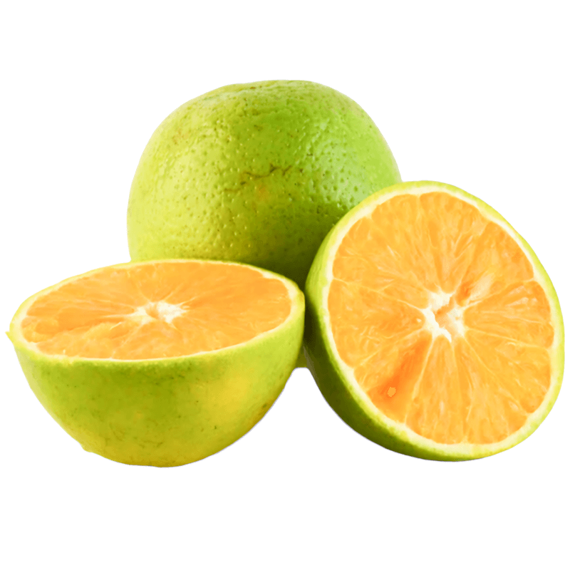 Naranjas Dulces Selectas