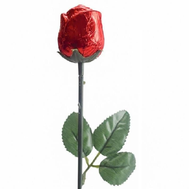 Rosa de Chocolate