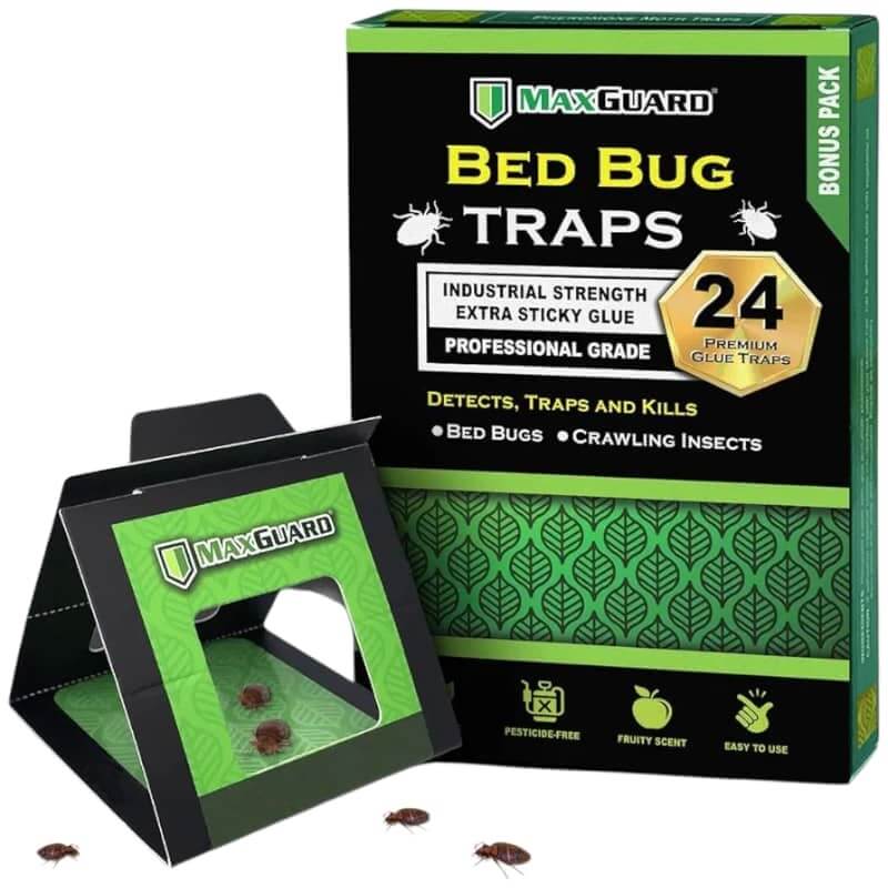 Trampas para Insectos