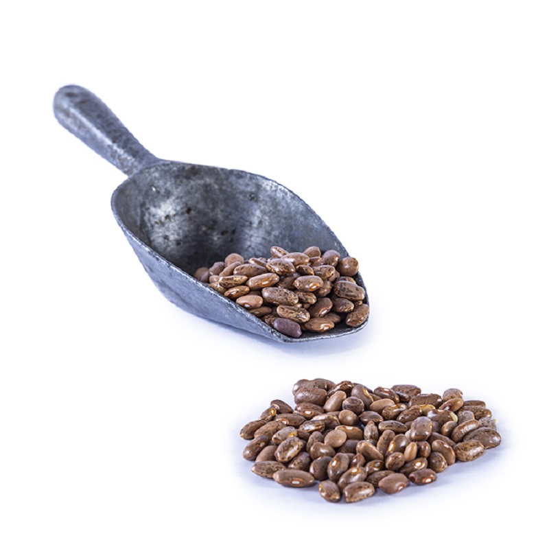 Frijoles Bayos